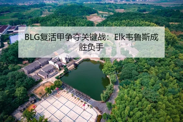 BLG复活甲争夺关键战：Elk韦鲁斯成胜负手