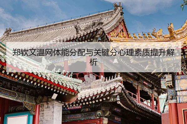 zheng-qin-wen-wen-wang-ti-neng-fen-pei-yu-guan-jian-fen-xin-li-su-zhi-ti-sheng-jie-xi-3-475.jpg